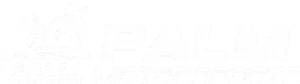 Palm Motorsports logo